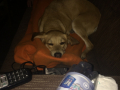 2018-03-09_20-51-13_588