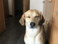 2019-07-05_16-46-31_812