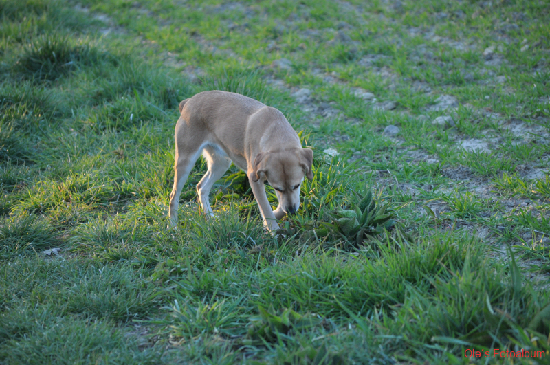 DSC_4046