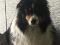 2019-05-02_14-31-31_791