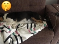 2019-07-11_12-07-25_000