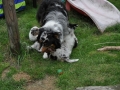 DSC_6412-r51.jpg