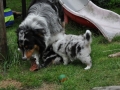 DSC_6413-r51.jpg