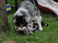 DSC_6414-r51.jpg