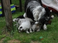DSC_6415-r51.jpg