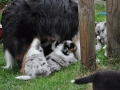 DSC_6416-r51.jpg