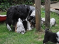 DSC_6419-r51.jpg