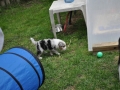 DSC_6430-r51.jpg