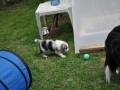 DSC_6431-r51.jpg