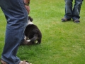 DSC_6636-r51.jpg