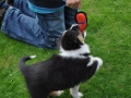 DSC_6646-r51.jpg