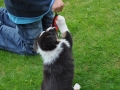 DSC_6647-r51.jpg