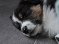 DSC_6654-r51.jpg