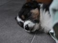 DSC_6655-r51.jpg