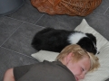 DSC_6665-r51.jpg