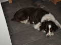 DSC_6673-r51.jpg