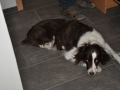 DSC_6674-r51.jpg