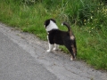 DSC_6678-r51.jpg