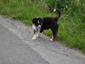DSC_6679-r51.jpg