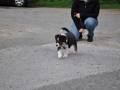 DSC_6681-r51.jpg