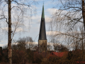 DSC_0006-r51.jpg