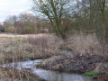 DSC_0008-r51.jpg