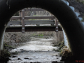 DSC_0011-r51.jpg