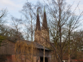 DSC_0012-r51.jpg