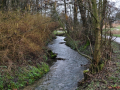 DSC_0041-r51.jpg