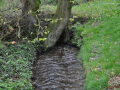 DSC_0245-r51.jpg