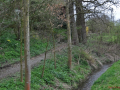 DSC_0247-r51.jpg