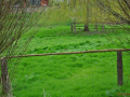 DSC_0252-r51.jpg