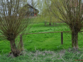 DSC_0253-r51.jpg