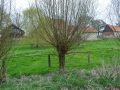 DSC_0254-r51.jpg