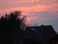 DSC_0280-r51.jpg