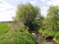 DSC_0556-r51.jpg