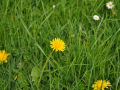 DSC_0576-r51.jpg