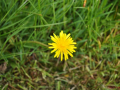 DSC_0577-r51.jpg