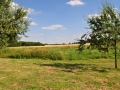 DSC_2366-r51.jpg