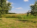 DSC_2367-r51.jpg