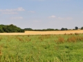 DSC_2368-r51.jpg