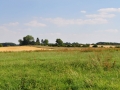 DSC_2369-r51.jpg