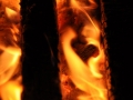 DSC_2414-r51.jpg