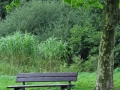 DSC_2426-r51.jpg