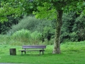 DSC_2427-r51.jpg