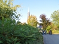 DSC_2979-r51.jpg