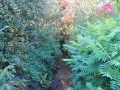 DSC_2981-r51.jpg