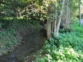 DSC_2991-r51.jpg