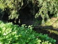 DSC_2993-r51.jpg