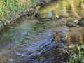 DSC_2999-r51.jpg